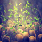 Green bacteria among intestine lining cells microscopic view
