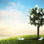 A tree made of money bills standing on green grass under a blue sky