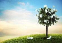 A tree made of money bills standing on green grass under a blue sky