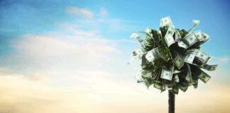 A tree made of money bills standing on green grass under a blue sky