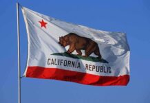 California state flag featuring a bear and a red star against a blue sky