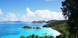 Scenic view of a tropical beach with clear blue water and lush greenery