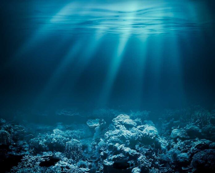 shutterstock_226506523.jpg Underwater view of a coral reef with light rays penetrating the water