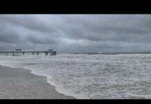 Tropical Storm Bertha Exposes Coastal Risks Tropical Storm Bertha makes landfall in Louisiana
