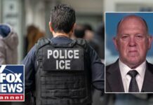ICE issues MAJOR crackdown on CDLs for illegal immigrants