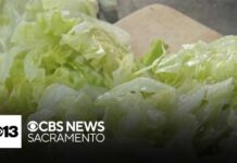 Cyclospora outbreak linked to lettuce drives some California shoppers to farmers markets