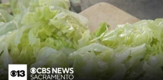Cyclospora outbreak linked to lettuce drives some California shoppers to farmers markets