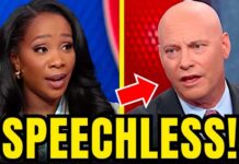 MAGA strategist LOSES IT as his Trump defense BACKFIRES horribly!