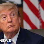 LIVE: Trump holds executive order signing at the White House | NBC News