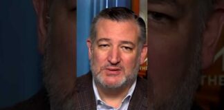 Senator Ted Cruz weighs in on Texas Senate race