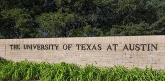 Sign for The University of Texas at Austin surrounded by greenery
