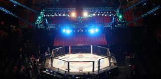 MMA octagon cage under arena lights